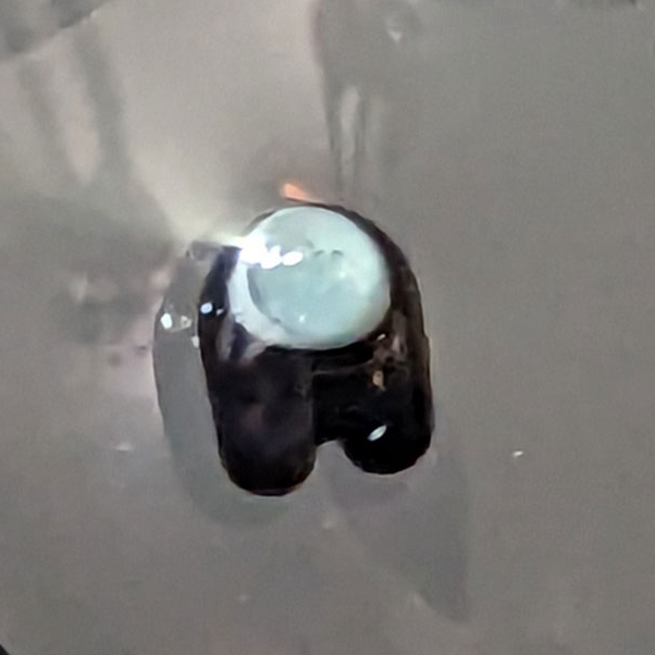 Among Us Terp Pearls