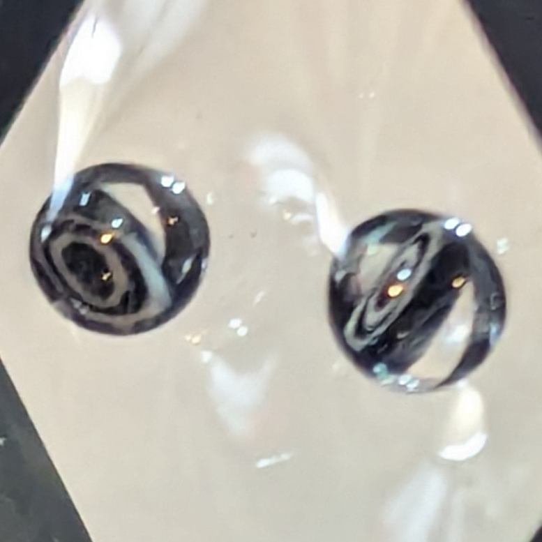 Terp Pearl Pair - Zebra Eye 01