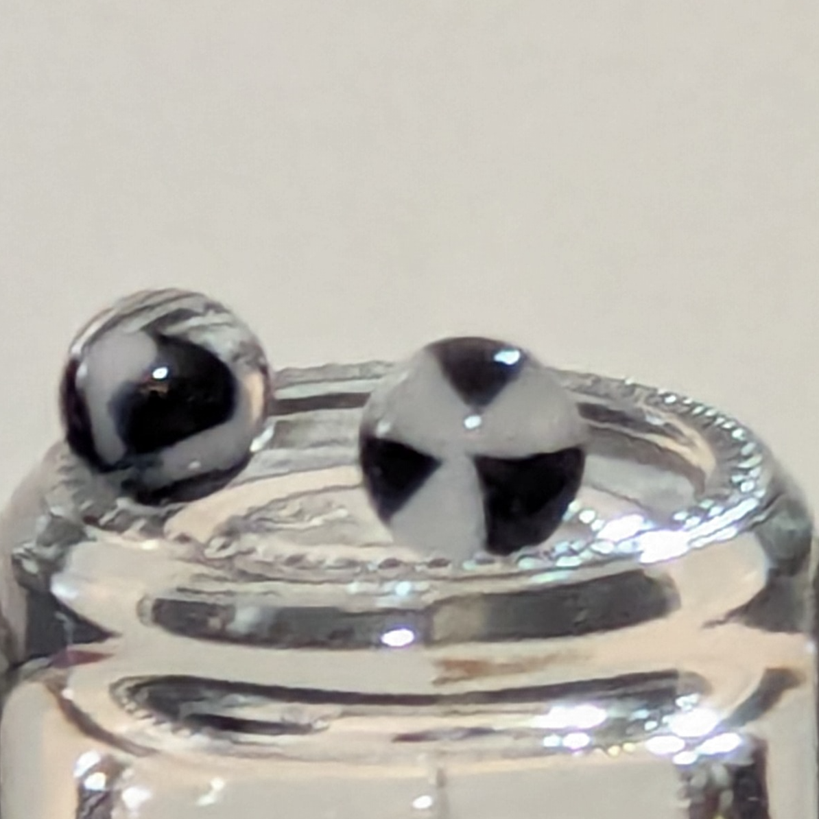 Terp Pearl Pair - Zebra Triangles 02