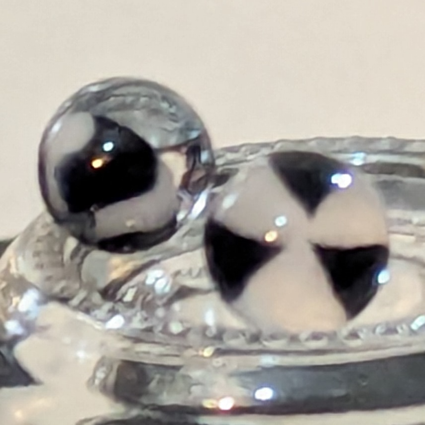 Terp Pearl Pair - Zebra Triangles 02