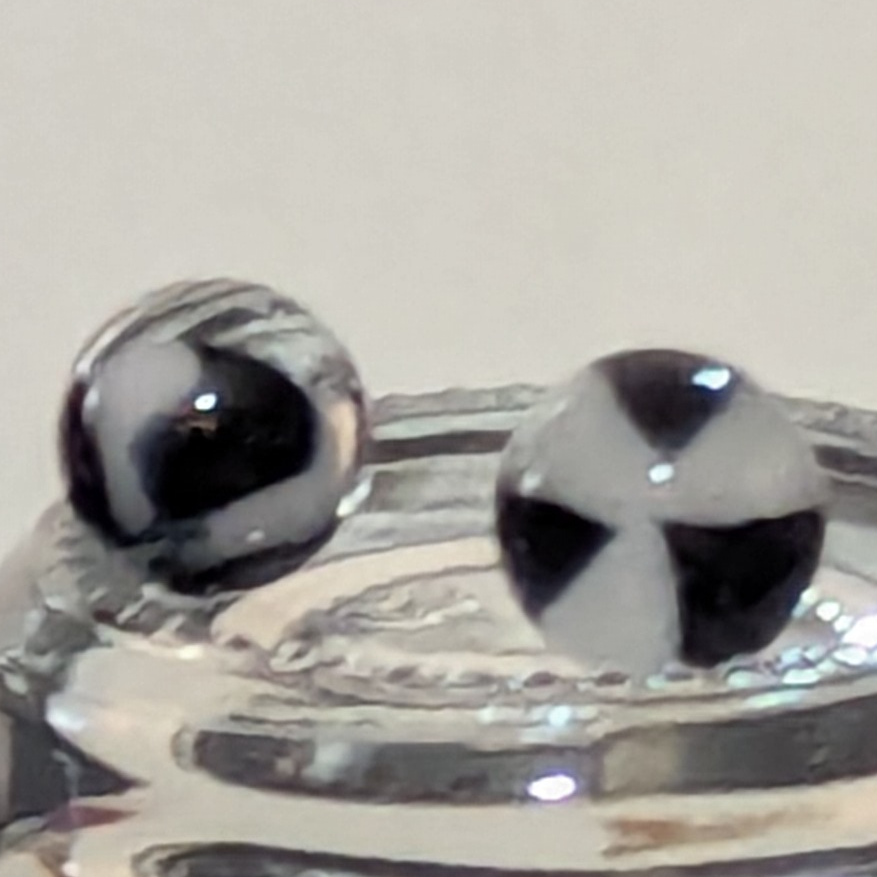 Terp Pearl Pair - Zebra Triangles 01